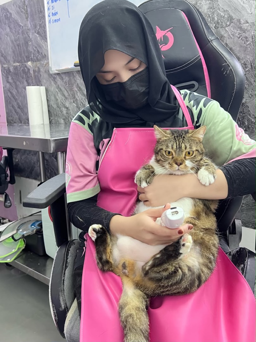 Fluffy Land staff cradling a cat for nail clipping