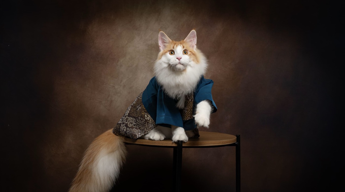 Cat Baju Melayu