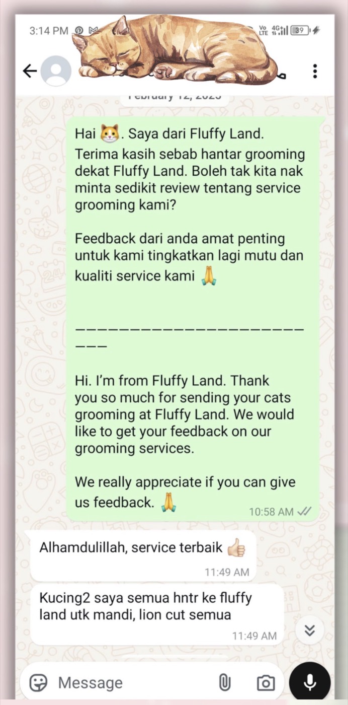 Customer review
